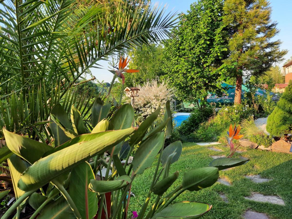 Penzion Zahrada Nad Rekou, Restaurace A Kavarna - Parkovani Gratis Zlata Koruna Exterior photo