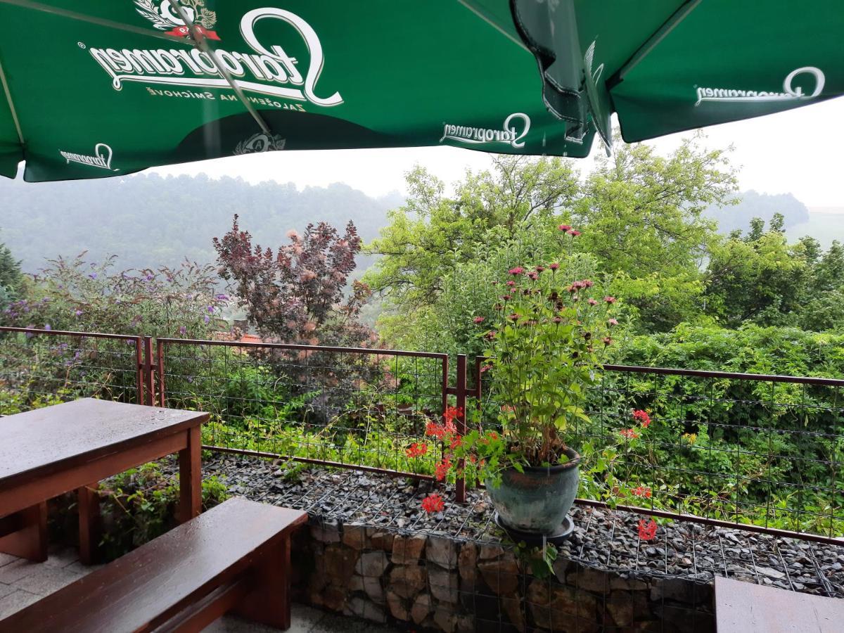 Penzion Zahrada Nad Rekou, Restaurace A Kavarna - Parkovani Gratis Zlata Koruna Exterior photo