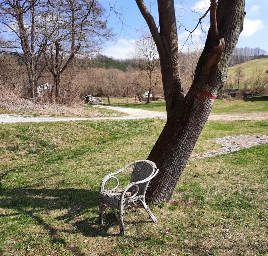 Penzion Zahrada Nad Rekou, Restaurace A Kavarna - Parkovani Gratis Zlata Koruna Exterior photo